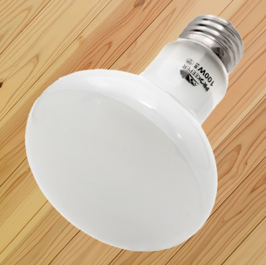 バスキングランプ