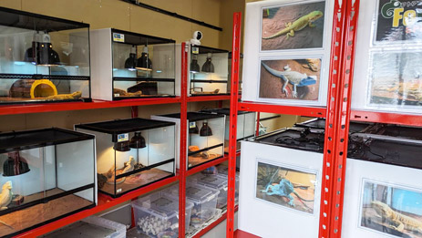 サブスクセット内容